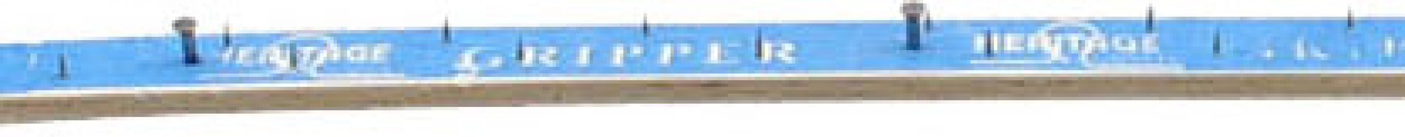 12 (1)